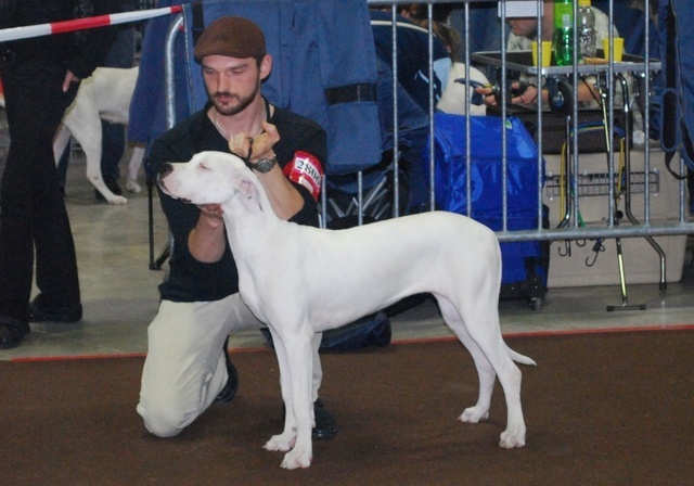 Huinca el guardian blanco - PROMETTEUR CLASSE PUPPY
