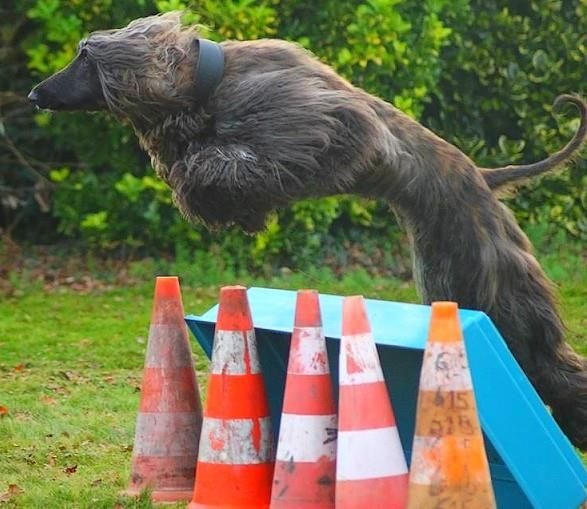 Ch.just a time for dream Du chemin des dames imperiales