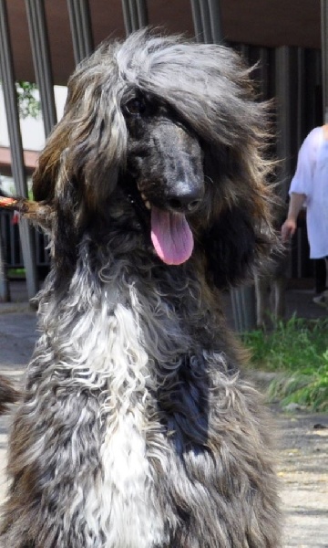 Ch.just a time for dream Du chemin des dames imperiales