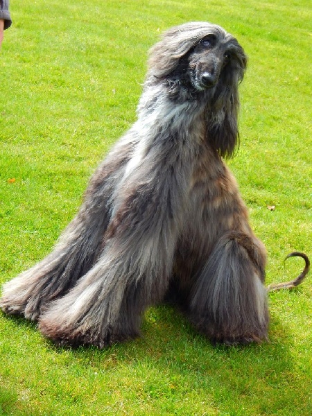 Ch.just a time for dream Du chemin des dames imperiales