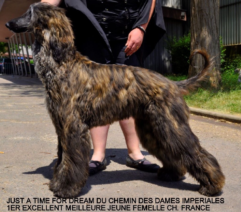 Ch.just a time for dream Du chemin des dames imperiales