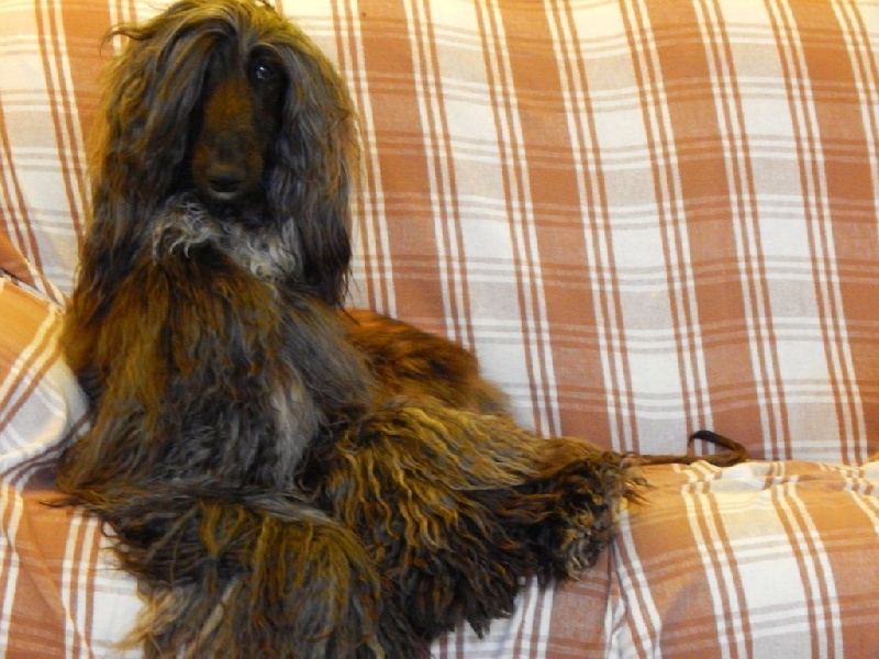 Ch.just a time for dream Du chemin des dames imperiales