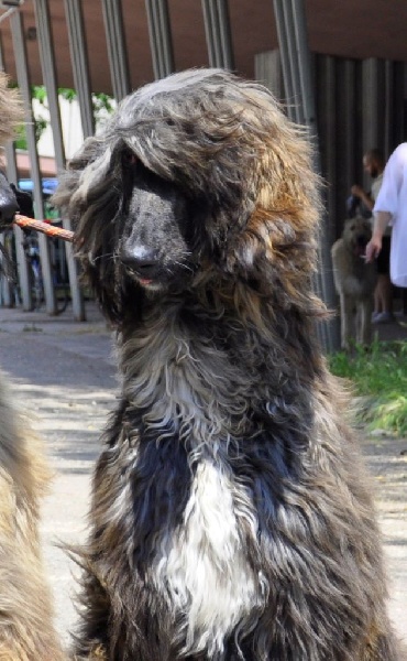 Ch.just a time for dream Du chemin des dames imperiales