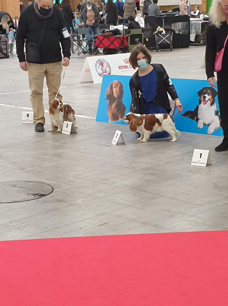 Seleste des Mémoires Sempiternelles - 2Tres bon