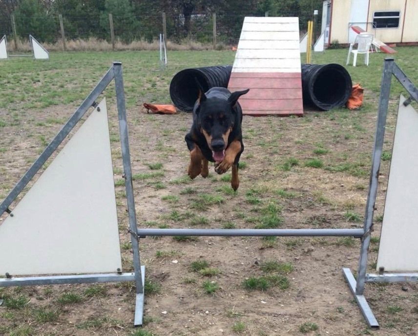 Publication : el casella pandora Auteur : LF