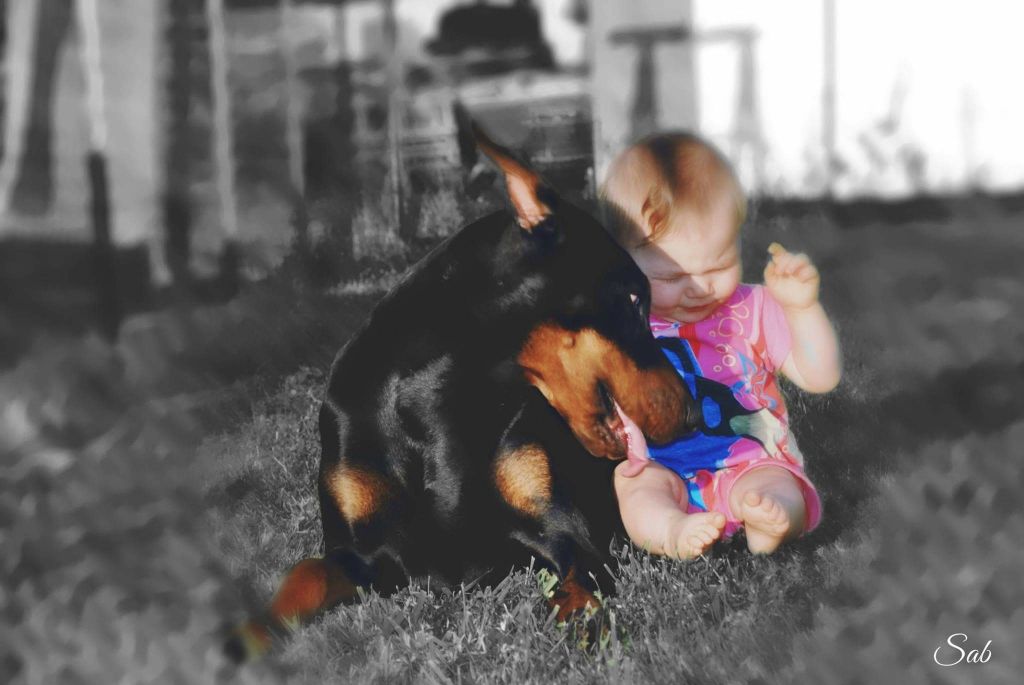 Promess for pandora black novak