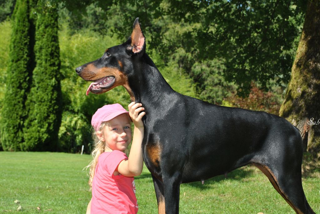 Promess for pandora black novak