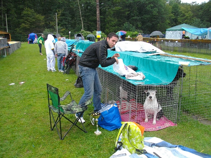 Publication : de massita black Auteur : Duchaussoy Matthieu