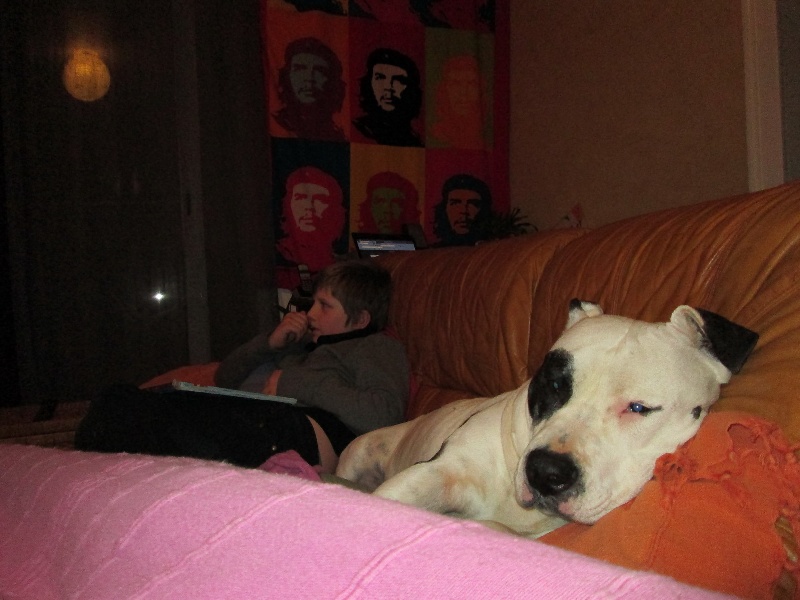 Publication : de massita black Auteur : Duchaussoy Matthieu