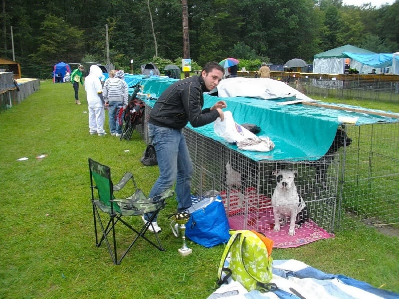 Econia de massita black - Trés prometteur