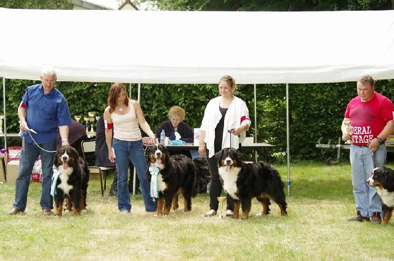 F'gwen du Domaine d'Ulane - 2ème EXC en COF ( sur 9 femelles )