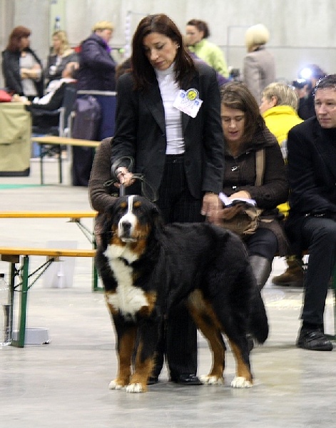 F'gwen du Domaine d'Ulane - BON en classe jeune