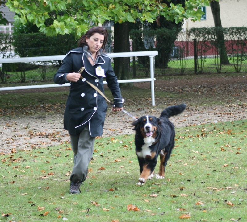 F'gwen du Domaine d'Ulane - 2ème TP en puppy