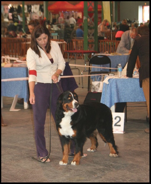 F'gwen du Domaine d'Ulane - 2ème EXC RCACS COF