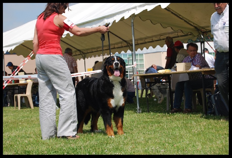 F'gwen du Domaine d'Ulane - 2ème EXC RCACS en COF
