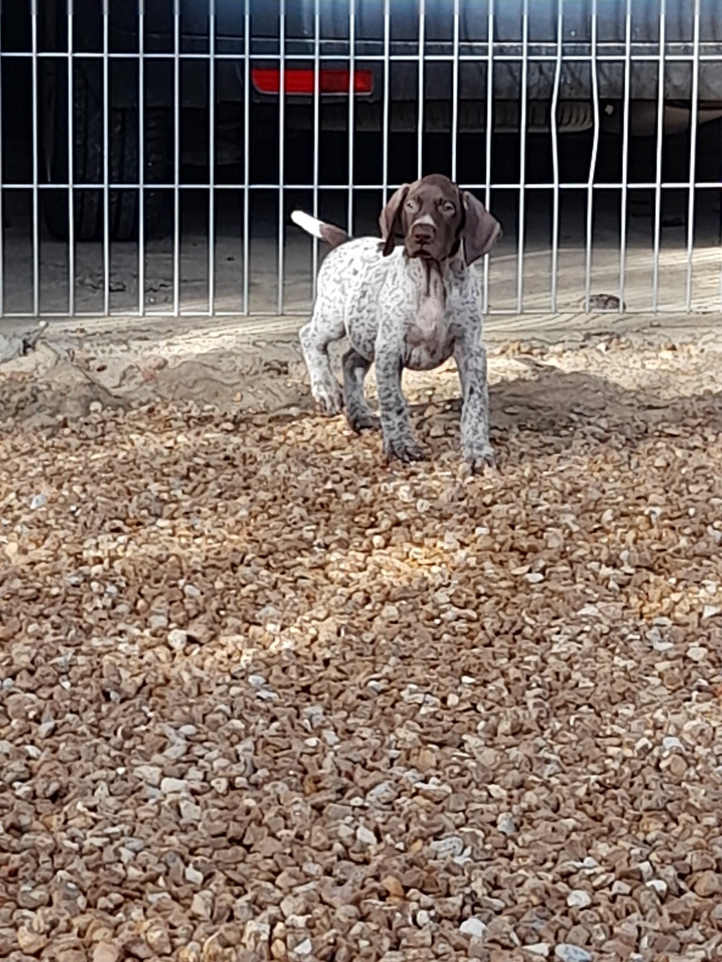 A..................... du clos bailleaulais