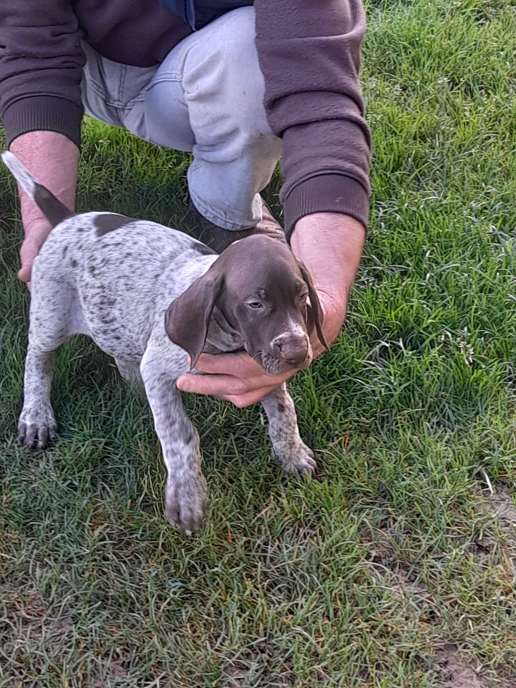 A..................... du clos bailleaulais