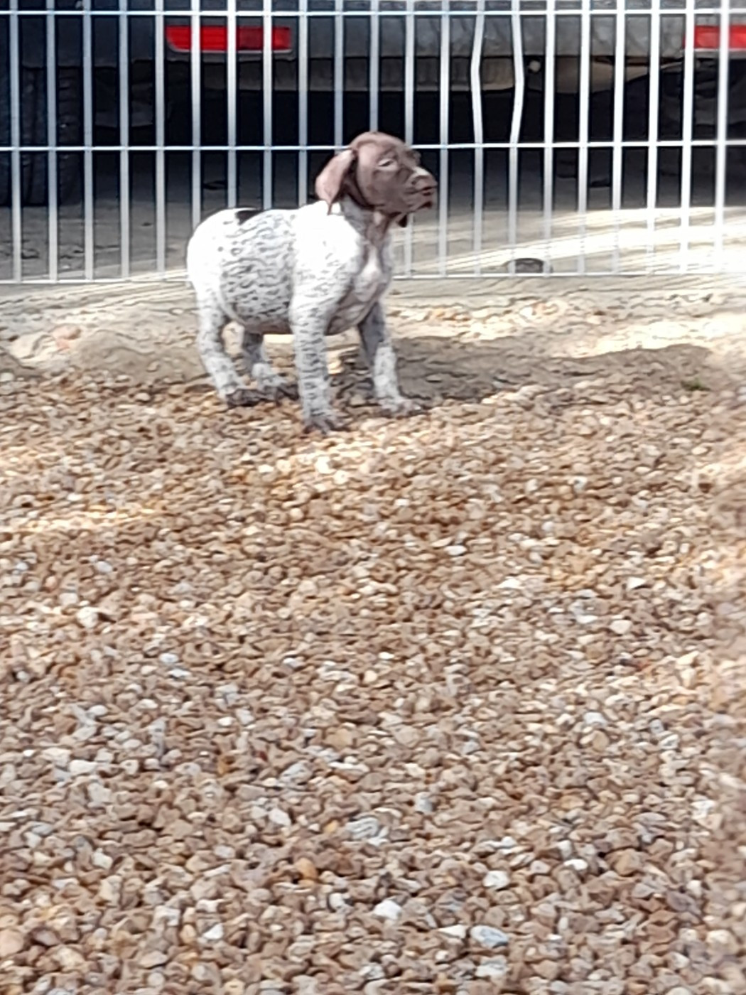 A..................... du clos bailleaulais