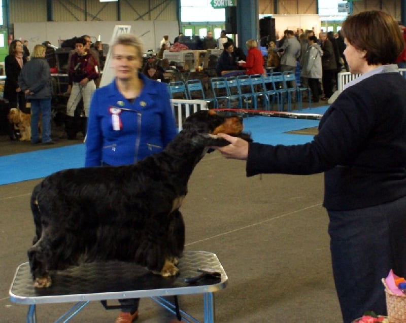 CH. jozelah Look at me - 2e Excellent classe champion