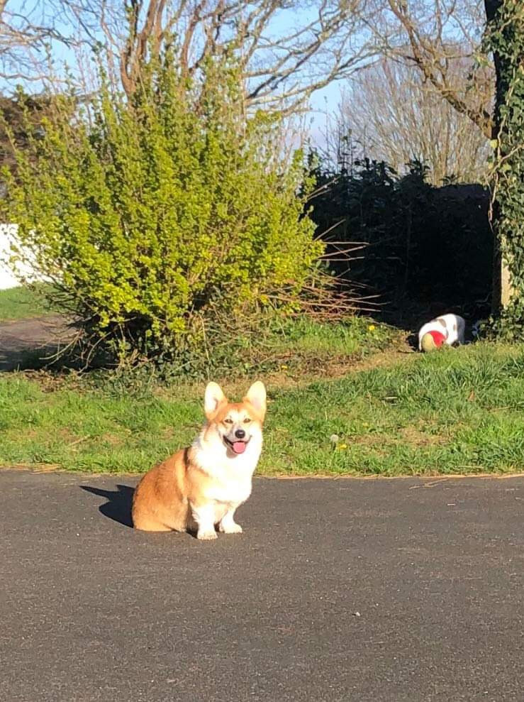 Publication : Milk Wood Auteur : Gwen