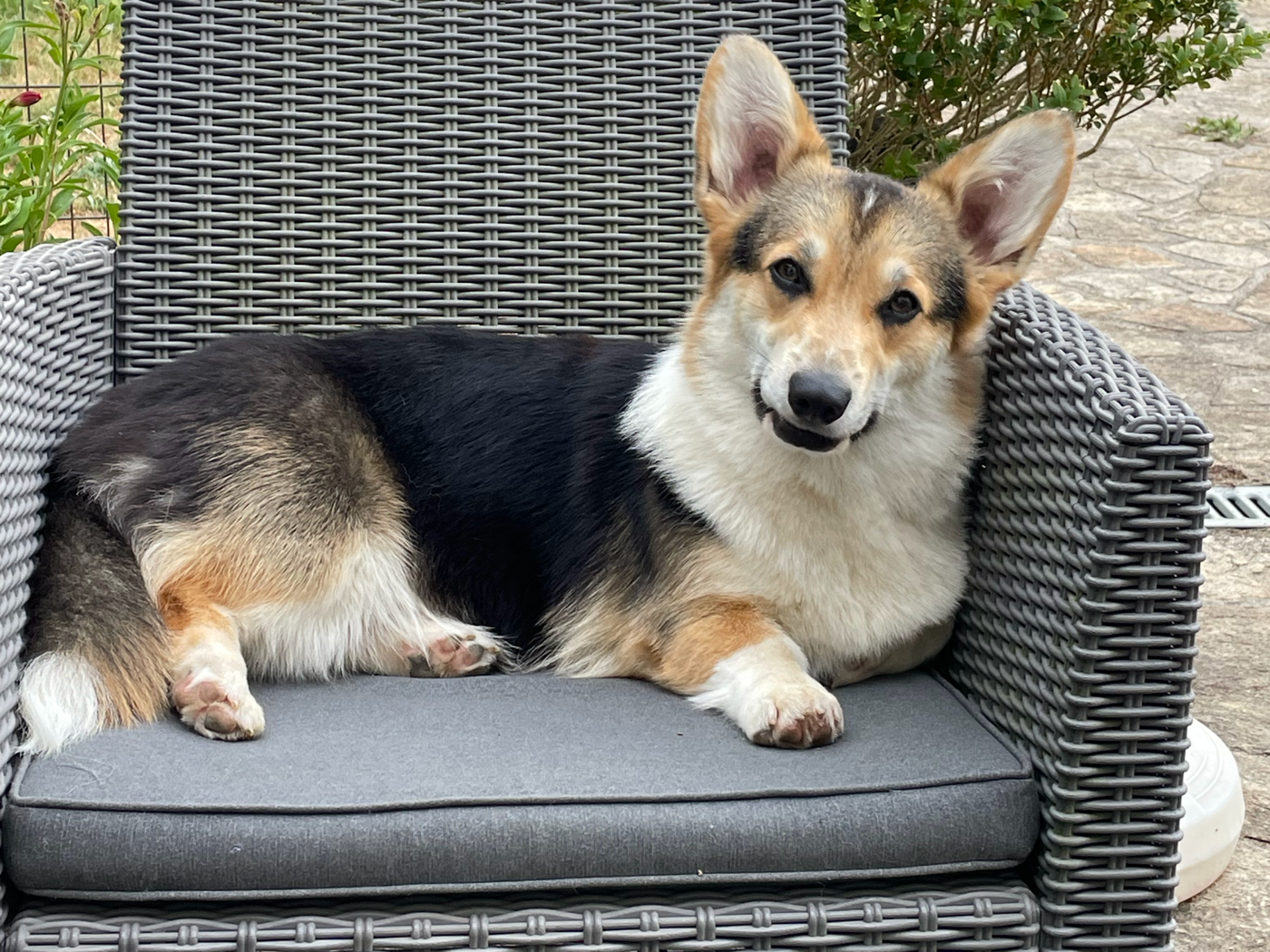 Publication : Milk Wood Auteur : Gwen