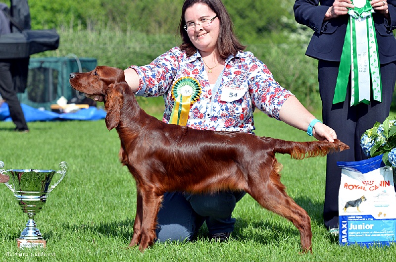 CH. Riverwood Kumbayah , lux jr ch, bjs 12 - 1er Trés Prometteur et Meilleur Puppy de l'expo