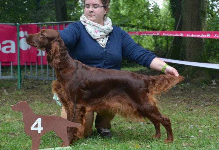 CH. Riverwood Kumbayah , lux jr ch, bjs 12 - 4ème excellent