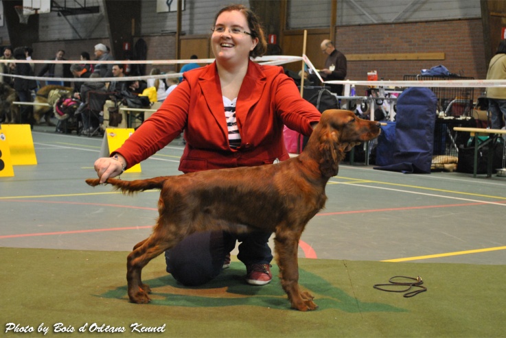 CH. Riverwood Kumbayah , lux jr ch, bjs 12 - 1 TP - BOB baby - 6 Best Baby in shows