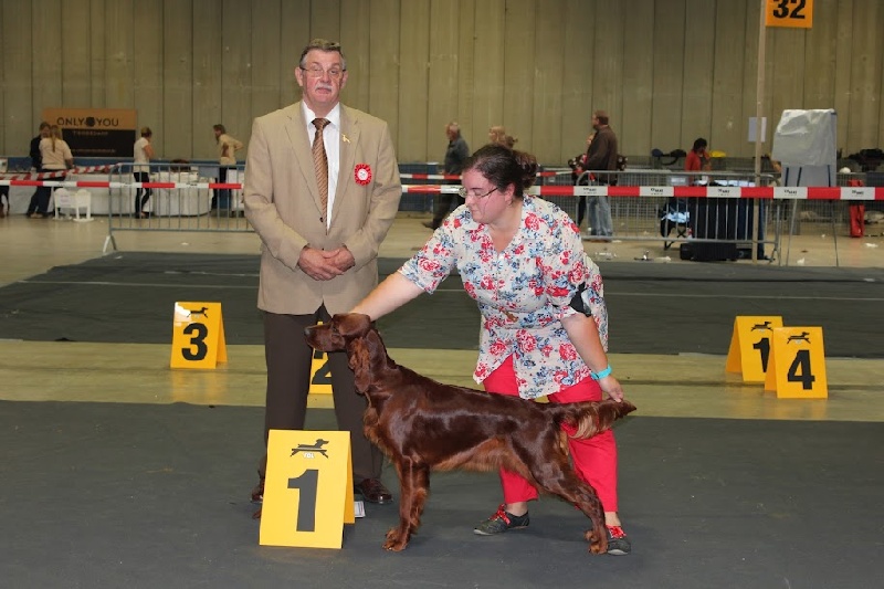 CH. Riverwood Kumbayah , lux jr ch, bjs 12 - 1er excellent + le titre de Jeune championne du Luxembourg