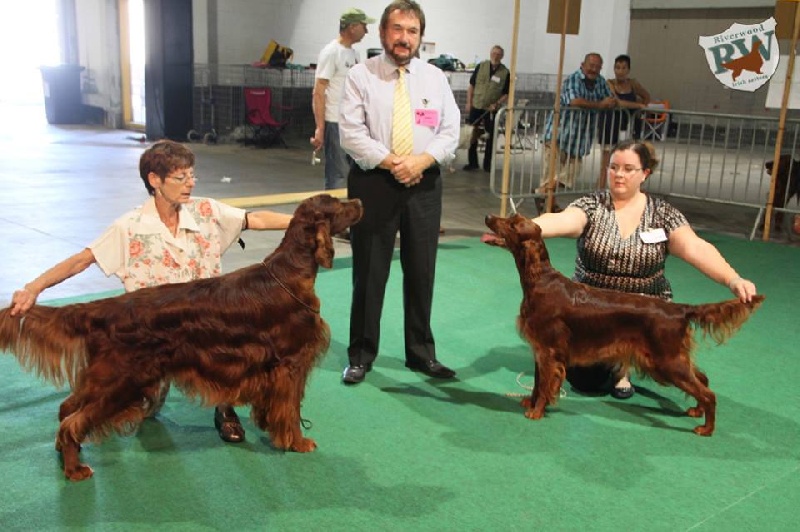 CH. Riverwood Kumbayah , lux jr ch, bjs 12 - 1excellent + CAC & CACIB meilleure femelle