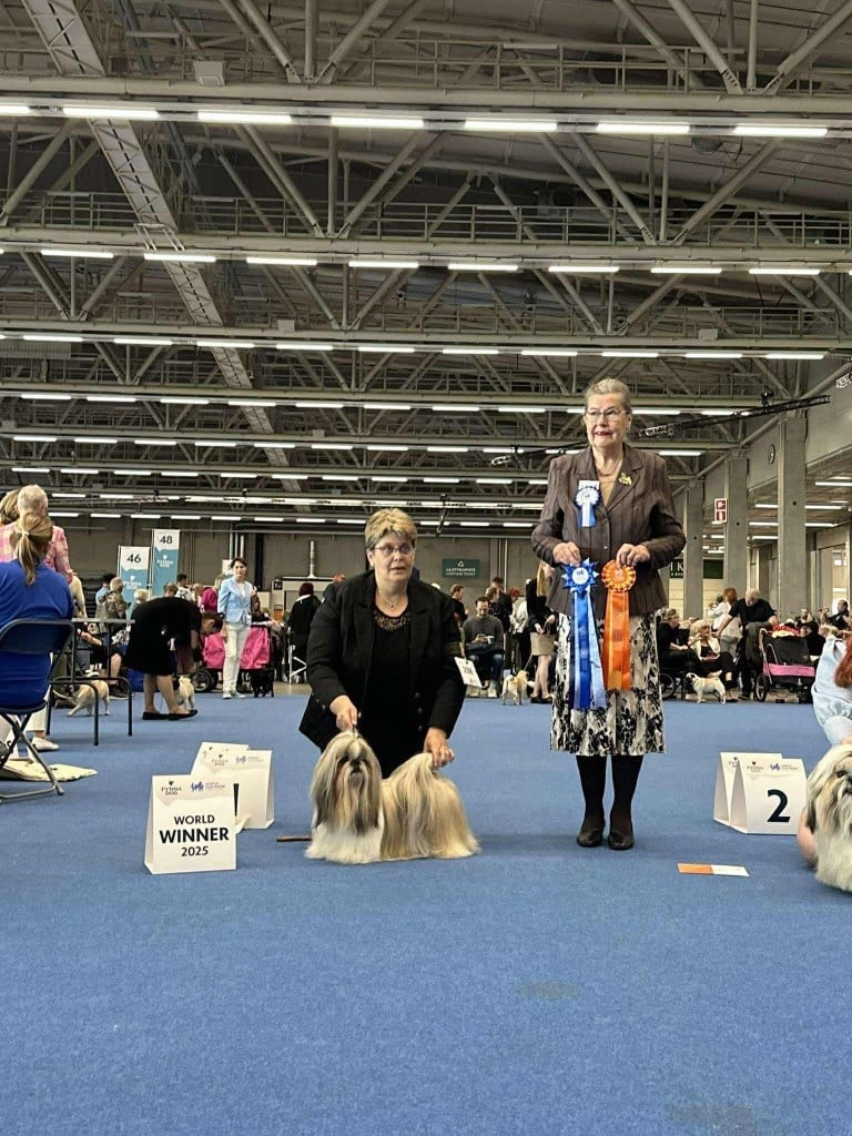 CH. Tommyknockers de Fu Xing