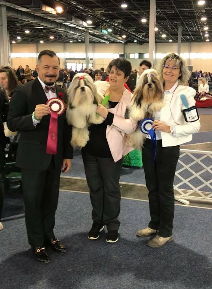 CH. Multi lover dose dit amy de Fu Xing - cac cacib BOS