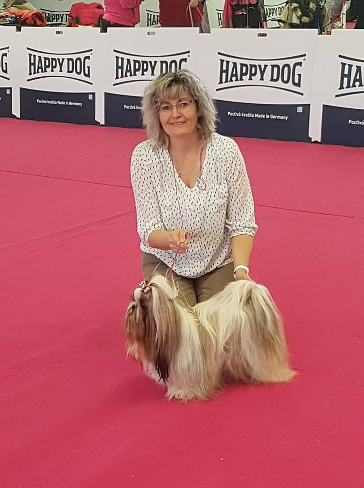 CH. Multi lover dose dit amy de Fu Xing - 3 eme exc classe championne