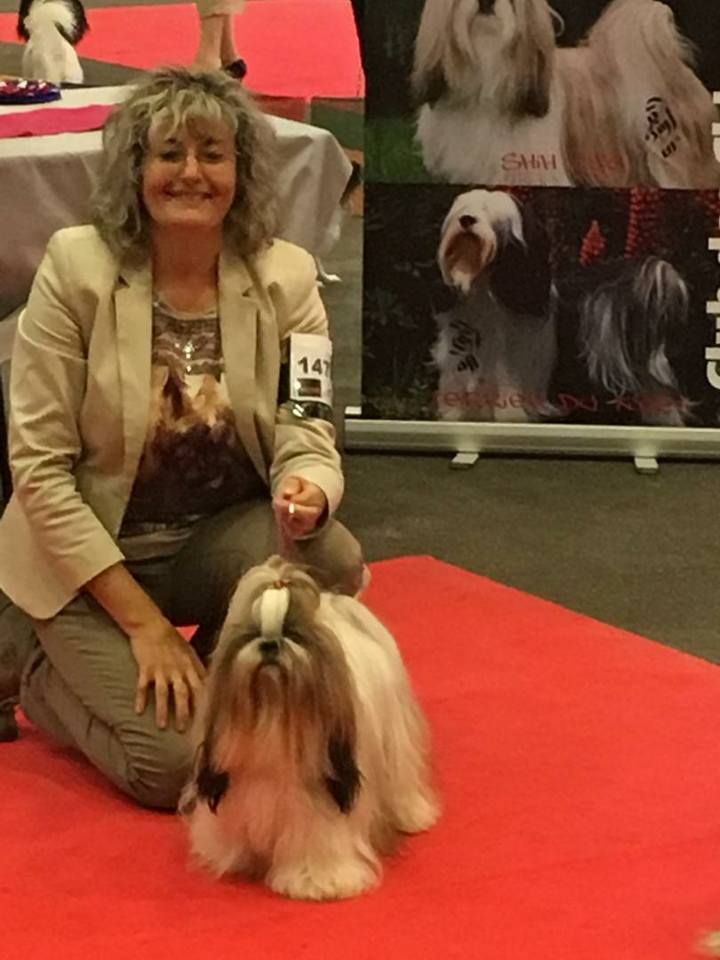 CH. Multi lover dose dit amy de Fu Xing - CACS RCACIB