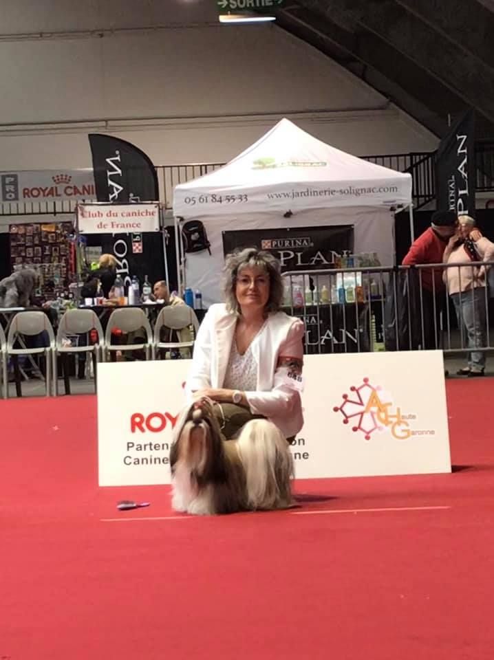 CH. Multi lover dose dit amy de Fu Xing - CACIB Meilleur de race