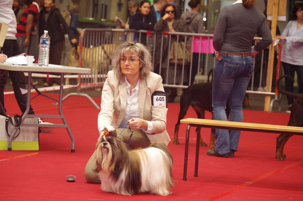 Lamoroso di gigi dit dali de Fu Xing - TB