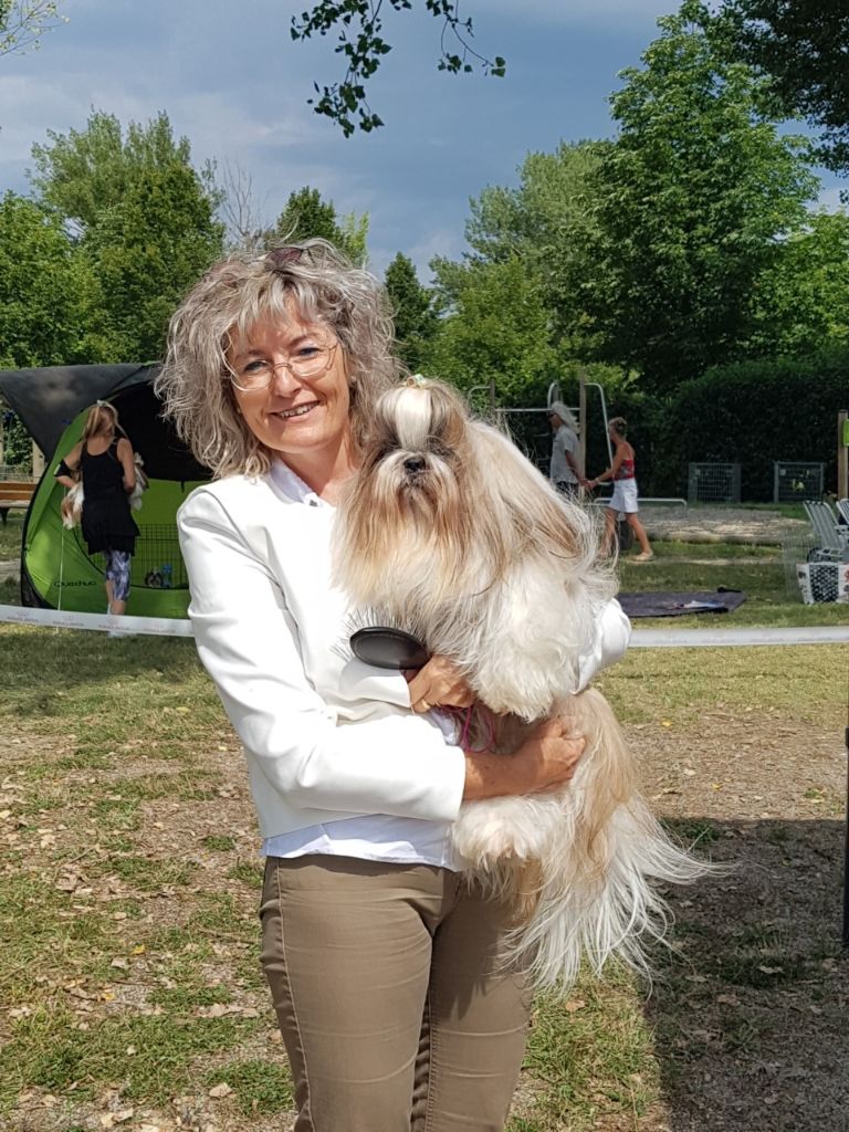 CH. Multi lover dose dit amy de Fu Xing - CACS Meilleur de race ouverte femelle