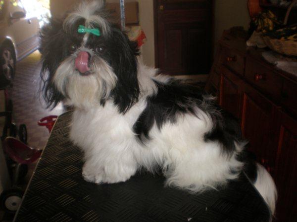 Publication : du domaine de Josseaud Auteur : Bernabe