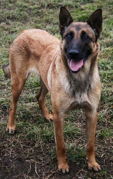 Publication : de la vallée des remparts