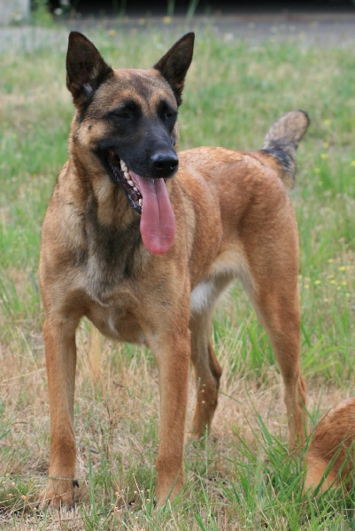 Publication : de la vallée des remparts