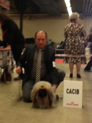 CH. Vannjty George 5 the king - C.A.C.I.B