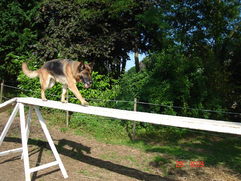Publication : des bergers de la vallée d'eole