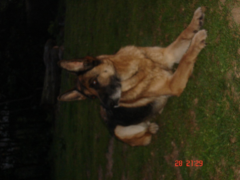 Publication : des bergers de la vallée d'eole