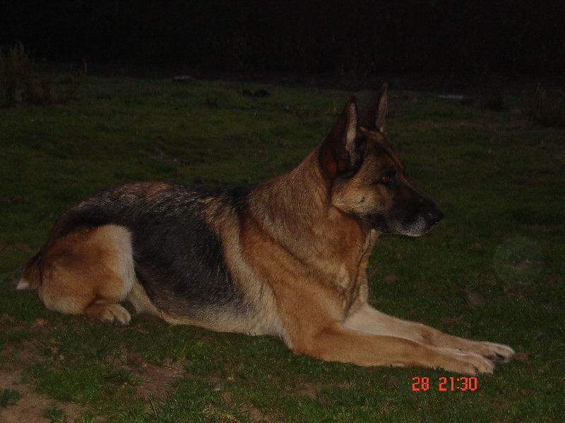 Publication : des bergers de la vallée d'eole