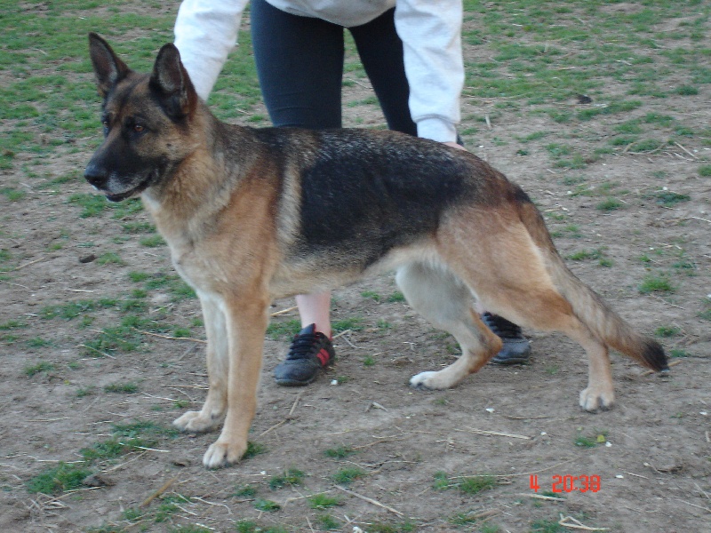 Publication : des bergers de la vallée d'eole