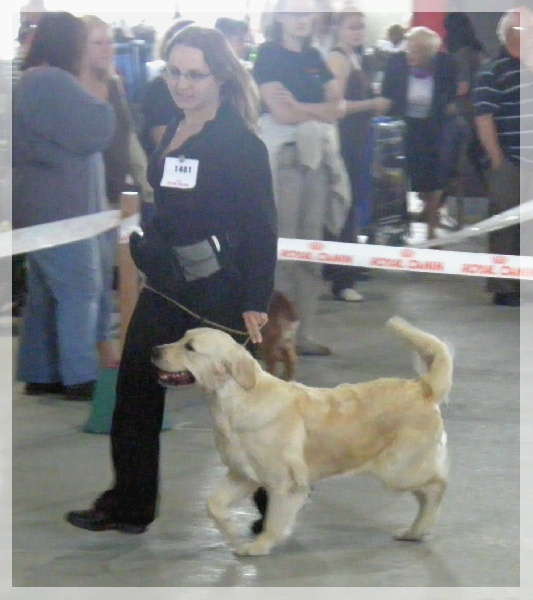 Dora (Sans Affixe) - Excellent (non classée) en classe Intermédiaire