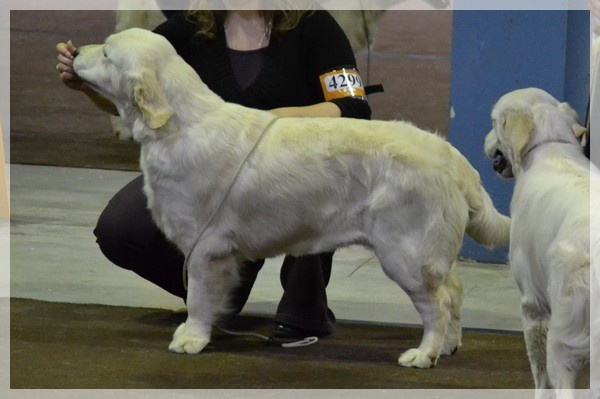Finalement te voilà (dite funny) des jardins d'Epona - Très bon (non classée) en classe Jeune