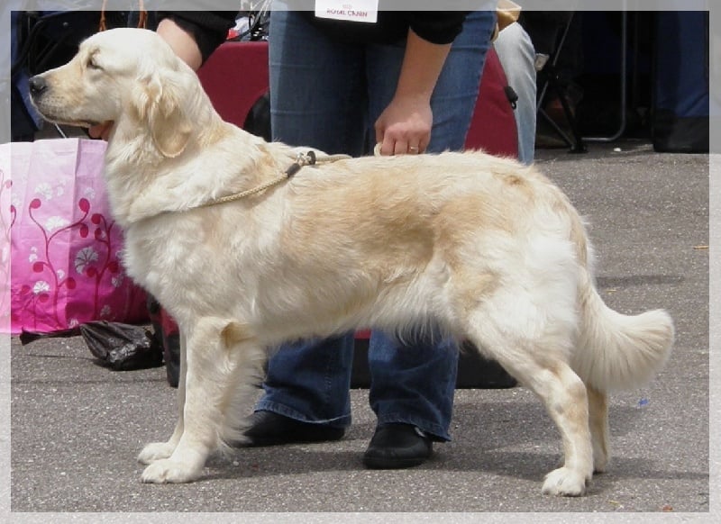 Dora (Sans Affixe) - 4ème Excellent en classe Ouverte