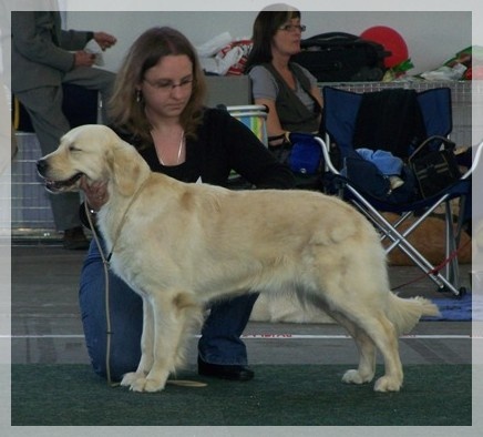 Dora (Sans Affixe) - Excellent (non classée) en classe Ouverte