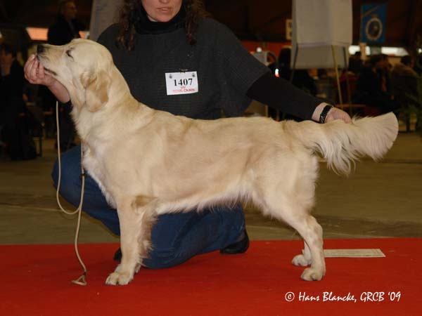 Dora (Sans Affixe) - 3ème Excellent en classe Intermédiaire